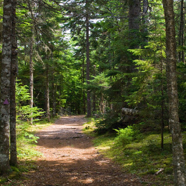 Uniacke Estate Museum Park