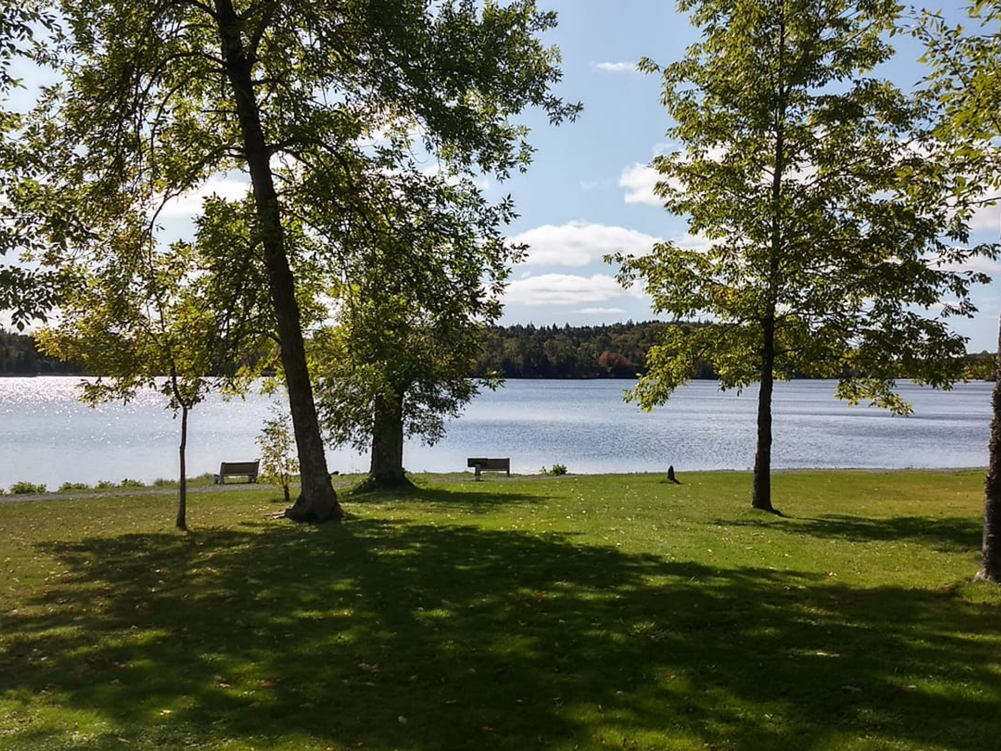 Lake Martha lined by trees.
