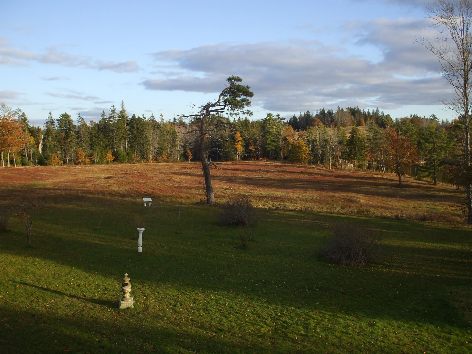Looking out over the grounds at Uniacke Estate Museum Park.