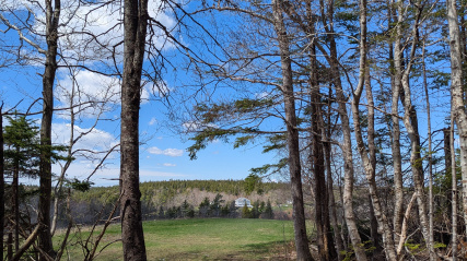 View of Uniacke Estate from the Drumlin Field Trail 