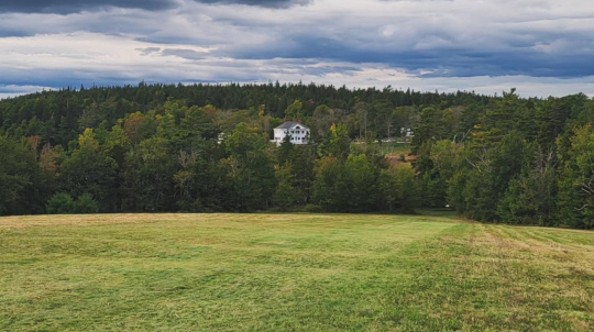 Uniacke Estate in the distance, a grand white house with a classical design, including a columned entrance and a long veranda. The house is surrounded by a well-maintained lawn and mature trees.